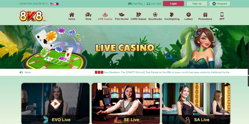 Introduction to Live Casino