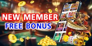 Casino Bonus Free - Unmissable Huge Offers 2024